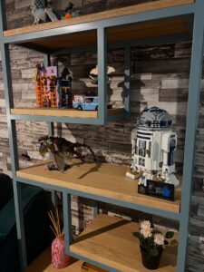 Fuscina Lego Shelf
